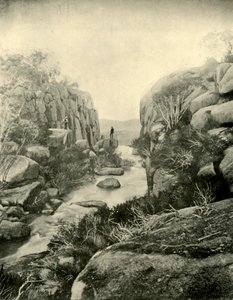 The Gorge, Buffalo Falls, Viktoriánus Alpok, 1901. alkotó: Unbekannt