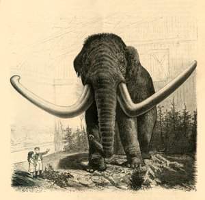 A szentpétervári mamut, 1883. alkotó: Unbekannt