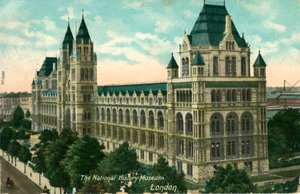 A National History Museum, London, 1910. alkotó: Unbekannt
