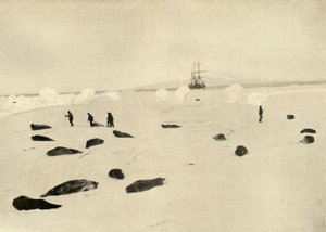 A Nimród a Pram Pointban 1909. március 4-én alkotó: Unbekannt