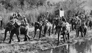 A walesi herceg tigris lövöldözése Indiában, 1921 alkotó: Unbekannt