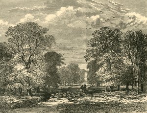 A Southampton Road, 1898. alkotó: Unbekannt