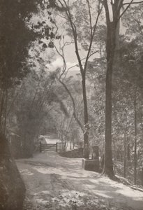 Tijuca szelleme, 1914 alkotó: Unbekannt