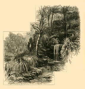 The Tropical Gardens, Battersea Park, 1878. alkotó: Unbekannt