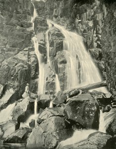 Wellington Falls, Mount Wellington, 1901. alkotó: Unbekannt
