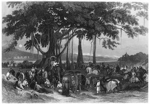 A szikh irreguláris lovasság kontingens haderejének érkezése, India, 1860 alkotó: Unbekannt