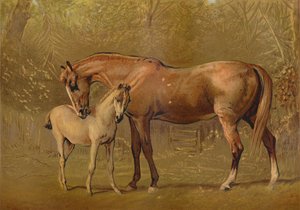Telivér kanca és csikó, 1879. alkotó: Unbekannt