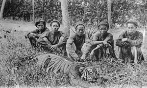 Tigrisvadászok, Tonkin, Vietnam, XX. század alkotó: Unbekannt