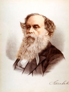 Titus Salt, brit gyapjúfűző és iparos, 1880 alkotó: Unbekannt