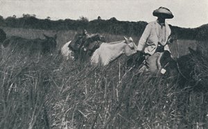 Utazás a Pampákon, 1916 alkotó: Unbekannt