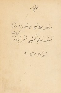 Tuti-Nama Mesék egy papagájról, c. 1560. alkotó: Unbekannt