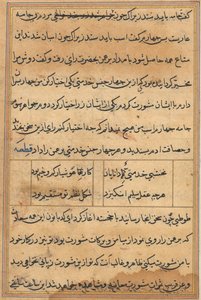 Tuti-Nama Mesék egy papagájról, c. 1560. alkotó: Unbekannt