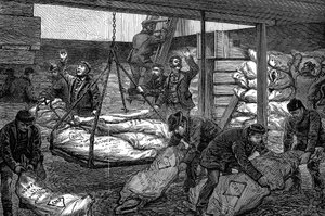 Fagyasztott hús kirakodása Ausztráliából, South West India Dock, Millwall, London, 1881 alkotó: Unbekannt