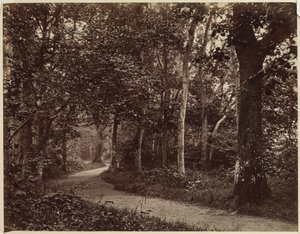 Tájkép cím nélkül, 1860-as évek eleje. alkotó: Unbekannt