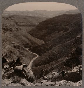 Az Arno völgye, pásztor és juhok az előtérben, 1900 alkotó: Unbekannt