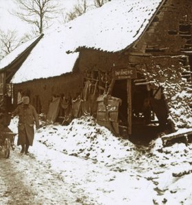 Lovak állatorvosi állomása, Calonne, Észak-Franciaország, c1914-c1918 alkotó: Unbekannt