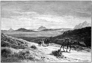 Kilátás a Tellat-hágóról, Tunézia, c1890 alkotó: Unbekannt