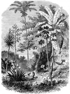 Kilátás a Spanyol-majdról, Guatemala, 1877 alkotó: Unbekannt