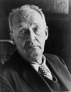 Vlagyimir Nabokov, orosz író, XX. század alkotó: Unbekannt