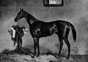 Voltigeur, 1847-1874, 1911 alkotó: Unbekannt