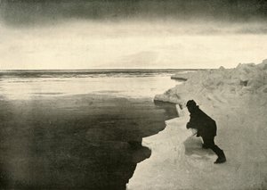 Fókák figyelése a jégszélen, c1908, 1909. alkotó: Unbekannt