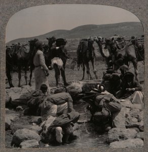 Tevéitatás a Jacobs Wellben, 1900 alkotó: Unbekannt