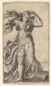 Nő húzza a haját, kb. 1515. alkotó: Unbekannt