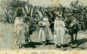 Fagyűjtők, Tenerife, Kanári-szigetek, XX. század eleje alkotó: Unbekannt