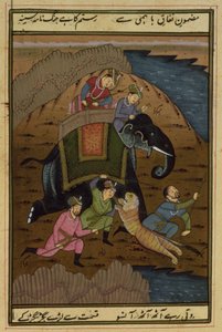 Akbar császár (1556-1608) tigrisvadászaton, a moguli Akbarnamából (illusztrált szöveg) alkotó: Unbekannt Unbekannt