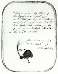 Giovanni Natale Santini által Napóleon császár fejéről levágott haj, amelyet William Temple Franklin kapott tőle, 1816 (haj) alkotó: Unbekannt Unbekannt