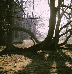 Kilátás az északi frontra, Corsham Court, Wiltshire alkotó: Unbekannt Unbekannt