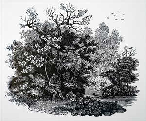 Ein Fischer von Unbekannt