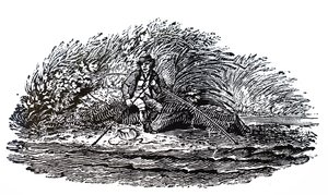 Egy halász alkotó: Unbekannt