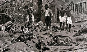 Egy nagyszerű vadászati nap! 1900 (metszet) alkotó: Unbekannter Künstler