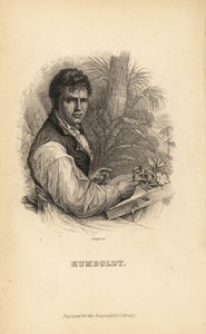 Alexander von Humboldt német felfedező, természettudós és botanikus alkotó: Unbekannt