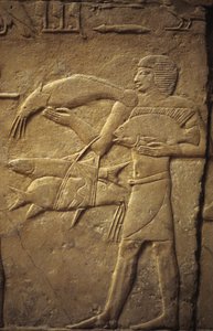 Ókori Egyiptom: Saqqarah (vagy Saqqara vagy Sakkarah): a Régi Birodalom nekropolisza, nemesek sírja. Egy halászt ábrázoló domborművek részlete.