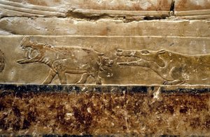 Az ókori Egyiptom: Saqqarah (vagy Saqqara vagy Sakkarah): Ti sírja (hivatalos az 5. dinasztia alatt. Részlet vízilovakat ábrázolva).
