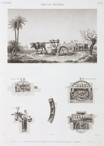 Animal Power Animal-powered irrigation, Egyiptom, c 1798 alkotó: Unbekannt