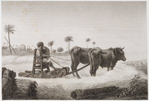 Szántóföldi gazdálkodás, betakarítás Cséplőgép, Egyiptom, 1798 alkotó: Unbekannt