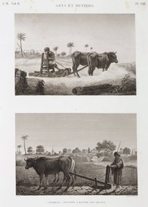 Szántóföldi gazdálkodás, szántás Cséplőgép és eke, Egyiptom, 1798 alkotó: Unbekannt