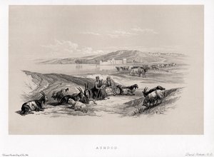 Ashdod By David alkotó: Unbekannter Künstler