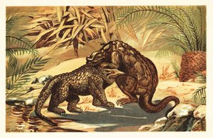 Harc a Megalosaurus bucklandii és az Iguanodon bernissar 1908 között (litográfia) alkotó: Unbekannter Künstler