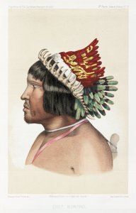 Bororo főnök, Dél-Amerika, 1843-1847 alkotó: Unbekannt
