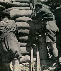 Brit csapatok khaki-drill rövidnadrágban harcolnak, a Gallipoli-félszigeten alkotó: Unbekannt
