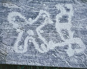Kamuni rózsa, Valcamonica-völgyi sziklametszet másolata, szénrajz, frottázs technika