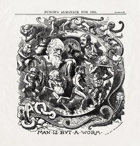 Charles Darwin (1809-1882) karikatúrája az evolúció elméletéről: "Az ember nem más, mint egy féreg" (Man is but a worm) a "Punch"-ból 1881.12.06. alkotó: Unbekannter Künstler