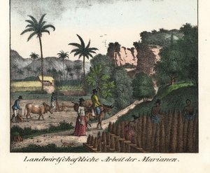 Chamarro földművesek szántanak egy mezőt és ültetvénysorokat vágnak a Mariana-szigeteken (USA). Illusztráció Louis de Freycinet (1779-1842) Világkörüli utazásából (1824). Litográfia a könyvhöz: "Galerie complete en tableaux fideles des peu alkotó: Unbekannter Künstler
