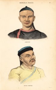 Kínai férfi és tatár férfi a nogai horda részéről. Mongol fajok. Lizars kézzel színezett acélmetszete Charles Hamilton Smith Natural History of the Human Species című művének illusztrációja után. alkotó: Unbekannter Künstler