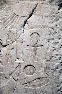 Coptos, Sesostris 1 templomtöredéke, Részlet alkotó: Unbekannter Künstler