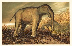 Deinotherium giganteum, a modern kor nagy őskori rokona1908 (kőnyomat) alkotó: Unbekannter Künstler